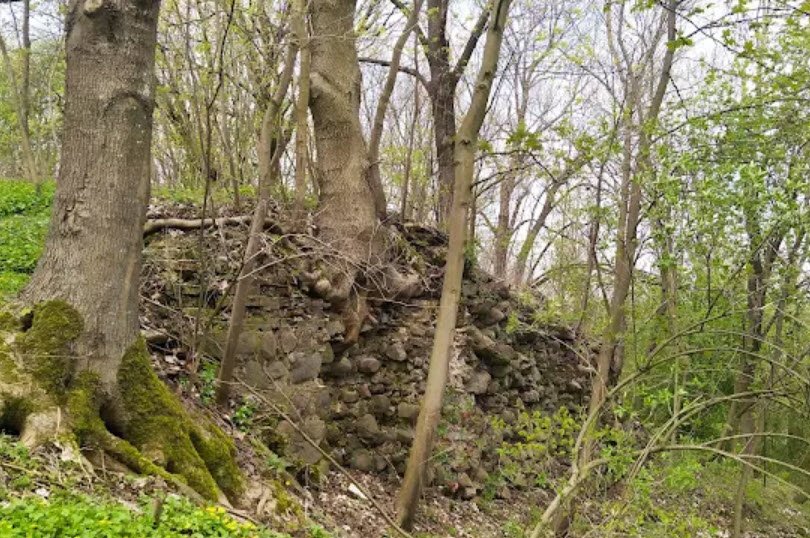 Zamek Krzyżacki w Lipienku, Poland, Poland
